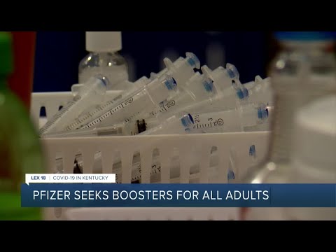 Pfizer seeks boosters for all adults