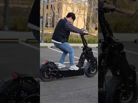 Electric Scooter WEPED Sonic Burnout