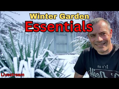 Beat the Cold: Expert Strategies to Keep Your Winter Garden Thriving!