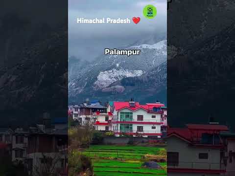 Winter Adventures:Snow Thrills in Himachal Pradesh|A Snowfall Journey Through Picturesque Villages