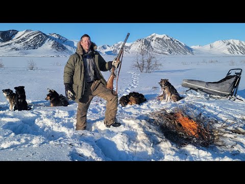 3 Days Camping, Hunting and Mushing in the Arctic