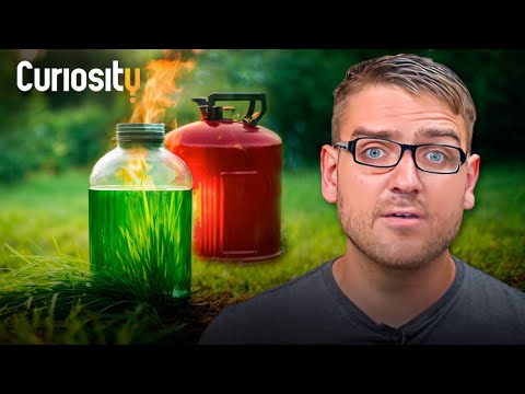 Turning Grass into Gasoline: Green Fuel Revolution